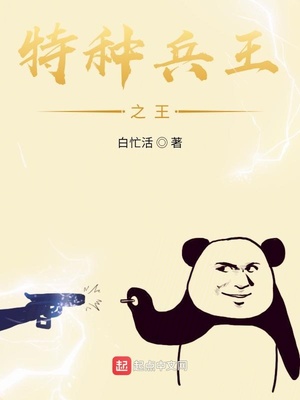 柔佳日记评论